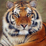 Diamond Painting Framed - Tiger Eye