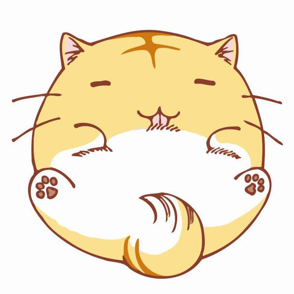 Paint by numbers | Children Painting kit Cat Cartoon | kids easy | Figured'Art