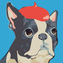 Paint by numbers | Children Painting kit Dog with Red Hat | kids easy | Figured'Art