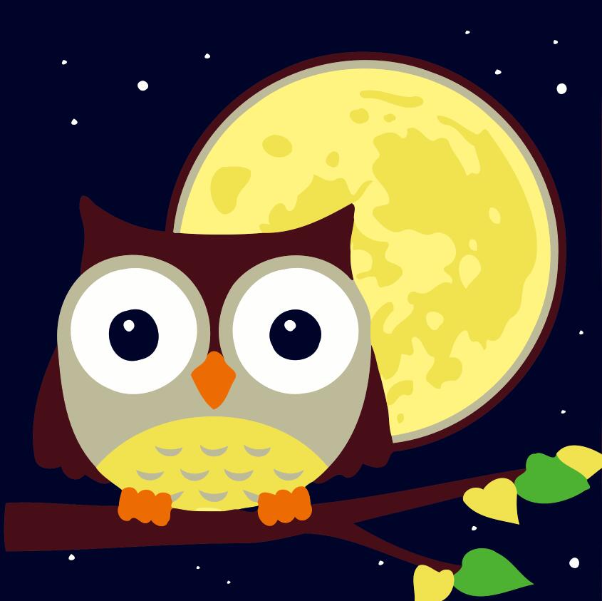 Paint by numbers | Children Painting kit Owl and Moon | kids easy | Figured'Art