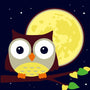 Paint by numbers | Children Painting kit Owl and Moon | kids easy | Figured'Art