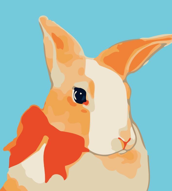 Paint by numbers | Children Painting kit Beautiful Rabbit | kids easy | Figured'Art
