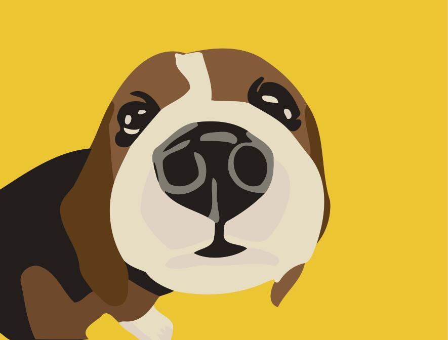 Paint by numbers | Children Painting kit Horse Face | kids easy | Figured'Art