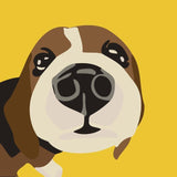 Paint by numbers | Children Painting kit Horse Face | kids easy | Figured'Art