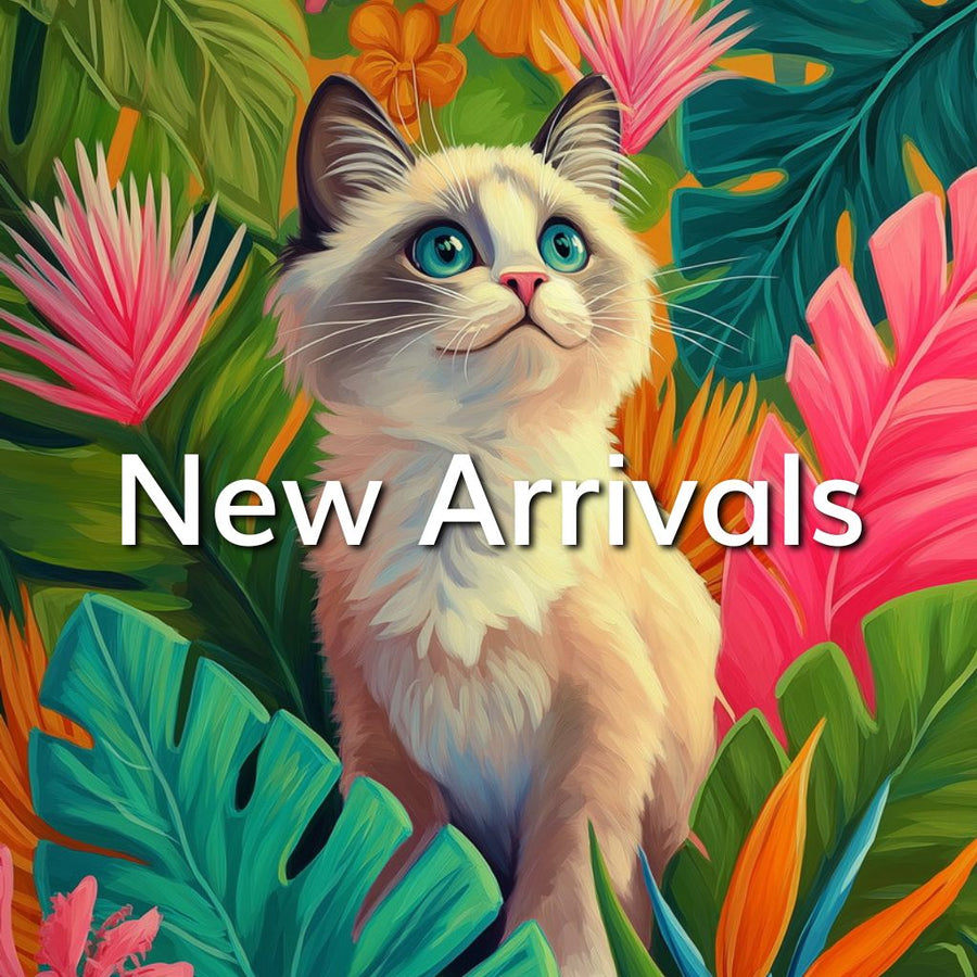 Paint by Numbers New Arrivals