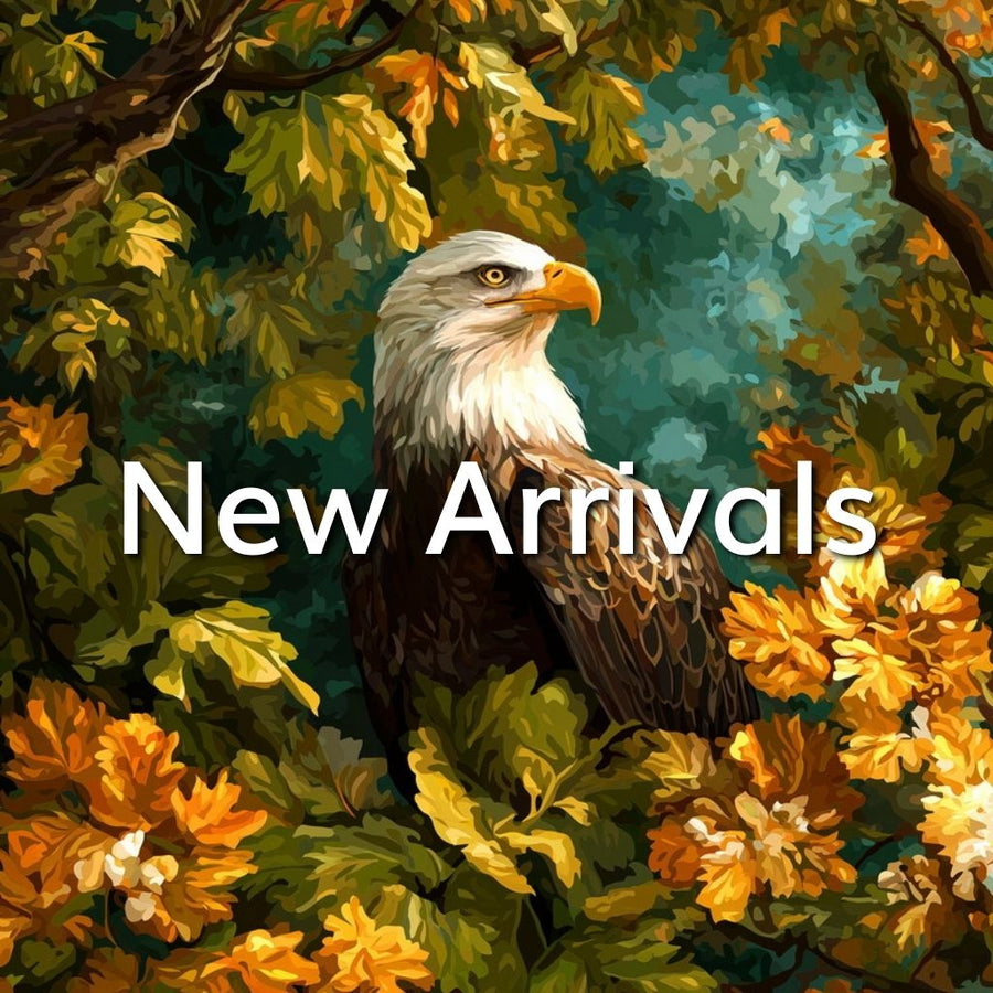 Diamond Painting New Arrivals