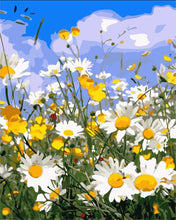 Load image into Gallery viewer, Paint by numbers | Daisy fields and blue sky | advanced flowers new arrivals landscapes | Figured'Art
