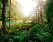 Load image into Gallery viewer, paint by numbers | Tropical Forest | advanced forest landscapes new arrivals | FiguredArt