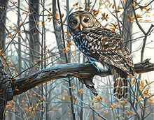 Load image into Gallery viewer, paint by numbers | Owl in the Forest | advanced animals forest new arrivals owls | FiguredArt