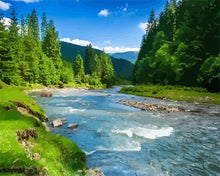 Load image into Gallery viewer, paint by numbers | Small river in the Forest | advanced landscapes new arrivals | FiguredArt