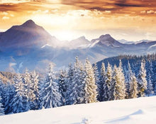 Load image into Gallery viewer, paint by numbers | Forest and Snow | advanced landscapes new arrivals winter | FiguredArt