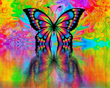 Load image into Gallery viewer, paint by numbers | Butterfly Reflection | advanced animals butterflies new arrivals | FiguredArt