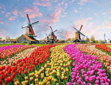 Load image into Gallery viewer, paint by numbers | Mills and Flowers | advanced flowers landscapes new arrivals | FiguredArt