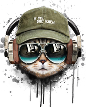 Load image into Gallery viewer, paint by numbers | Cat keep cool | animals cats intermediate new arrivals | FiguredArt