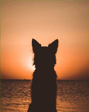 Load image into Gallery viewer, paint by numbers | Dog and Sunset | animals dogs intermediate new arrivals | FiguredArt