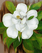 Load image into Gallery viewer, paint by numbers | White Flower and Green Leaves | easy flowers new arrivals | FiguredArt
