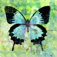 Load image into Gallery viewer, paint by numbers | Butterfly Green and Black | advanced animals butterflies new arrivals | FiguredArt