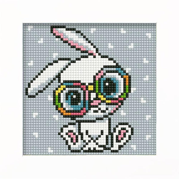 5D Diamond Painting with Picture Frame