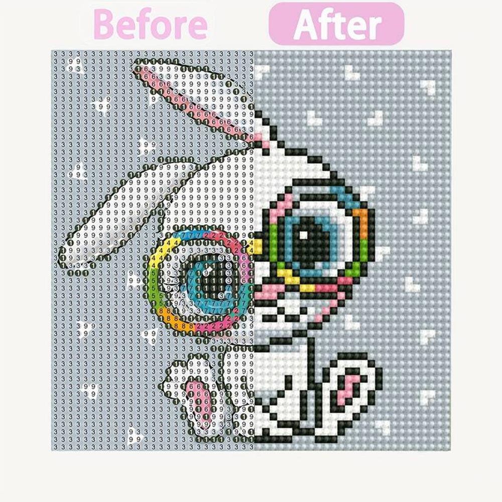 5D Diamond Painting with Picture Frame