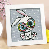 5D Diamond Painting with Picture Frame