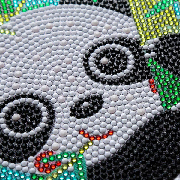 5D Diamond Painting with Panda for Kids with Picture Frame