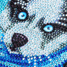 Load image into Gallery viewer, 5D Diamond Painting Kit with Husky Design and Picture Frame