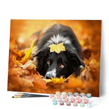 Load image into Gallery viewer, paint by numbers | Black Dog relaxing | animals dogs intermediate | FiguredArt