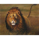 paint by numbers | Lion | advanced animals lions | FiguredArt