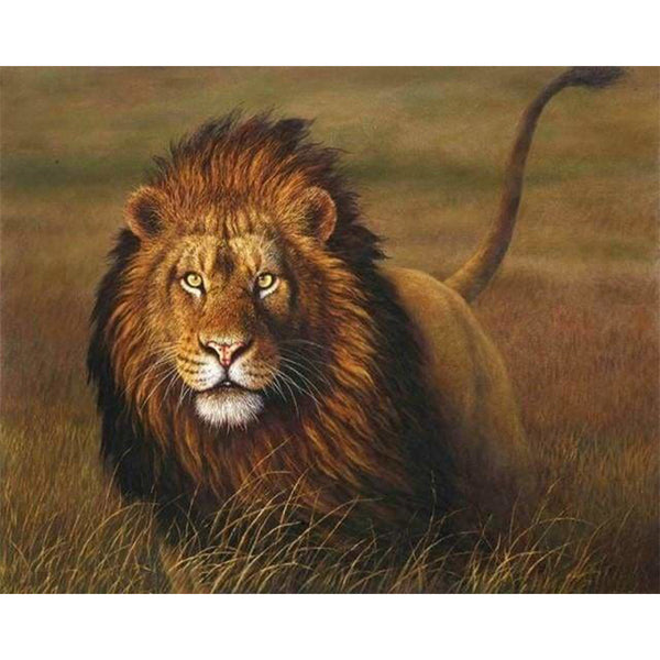 paint by numbers | Lion | advanced animals lions | FiguredArt