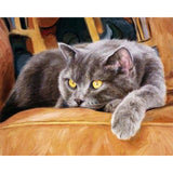 paint by numbers | Cat on Couch | animals cats intermediate | FiguredArt