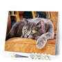 paint by numbers | Cat on Couch | animals cats intermediate | FiguredArt