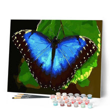 Load image into Gallery viewer, paint by numbers | Blue butterfly | animals butterflies easy | FiguredArt