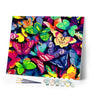 paint by numbers | Colorful Butterflies | animals butterflies easy | FiguredArt