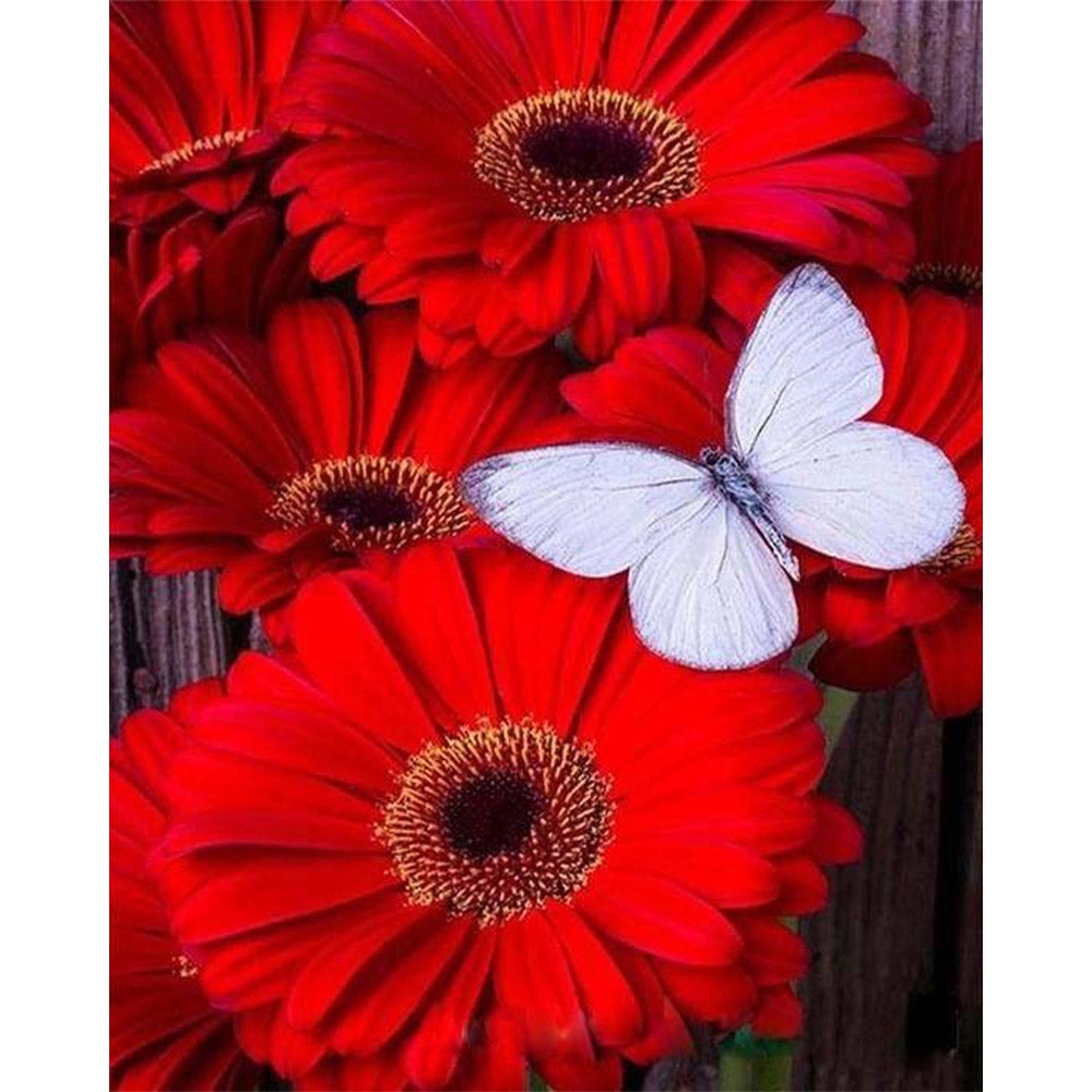 paint by numbers | Butterfly and Red Flowers | easy flowers | FiguredArt