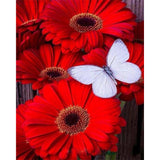 paint by numbers | Butterfly and Red Flowers | easy flowers | FiguredArt
