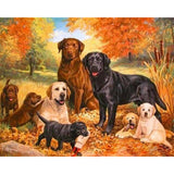 paint by numbers | Pack of Dogs | advanced animals dogs | FiguredArt
