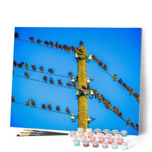 Load image into Gallery viewer, paint by numbers | Birds on Pole | animals birds intermediate | FiguredArt