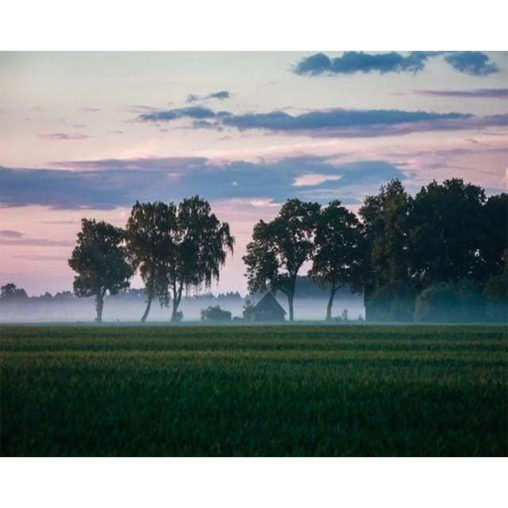 paint by numbers | Trees in Fog | advanced landscapes trees | FiguredArt