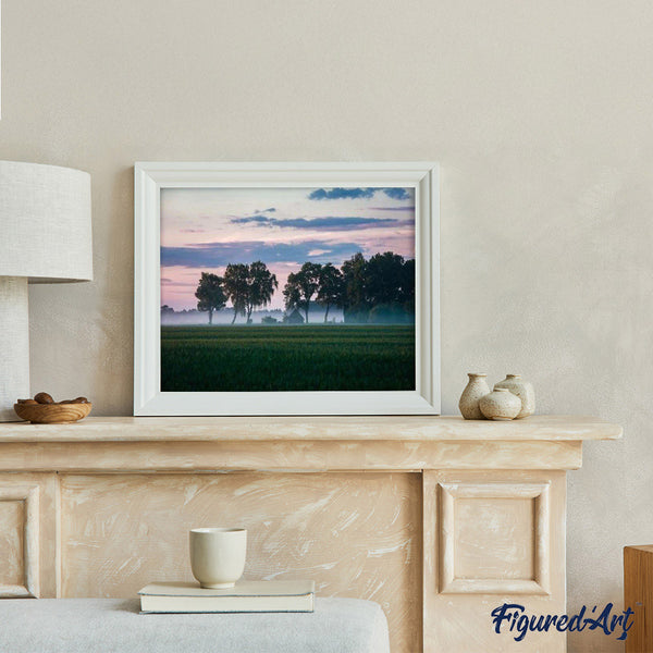 paint by numbers | Trees in Fog | advanced landscapes trees | FiguredArt