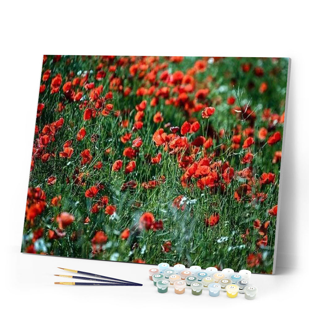 paint by numbers | Balsamine | advanced flowers | FiguredArt