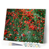 paint by numbers | Balsamine | advanced flowers | FiguredArt