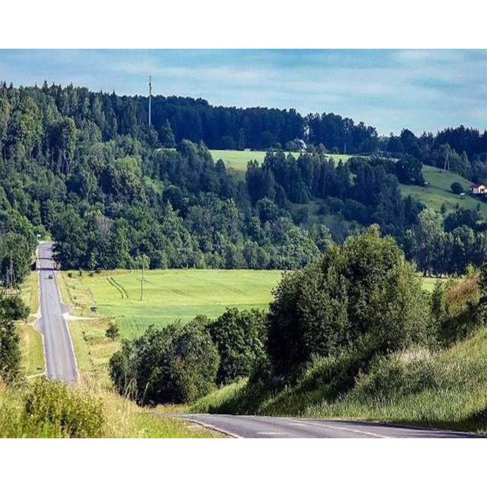 paint by numbers | Road in the countryside | advanced landscapes | FiguredArt