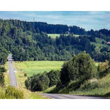 paint by numbers | Road in the countryside | advanced landscapes | FiguredArt