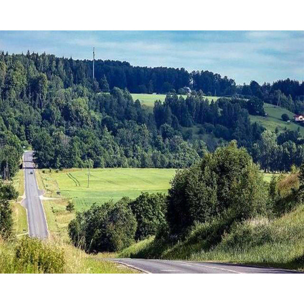 paint by numbers | Road in the countryside | advanced landscapes | FiguredArt