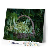 paint by numbers | Basket of Flowers | flowers intermediate | FiguredArt