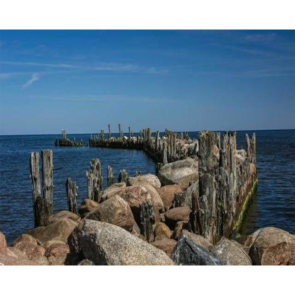 paint by numbers | Down by the Lake | advanced landscapes | FiguredArt