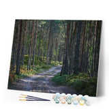 paint by numbers | Path in the Forest | advanced landscapes mountains | FiguredArt