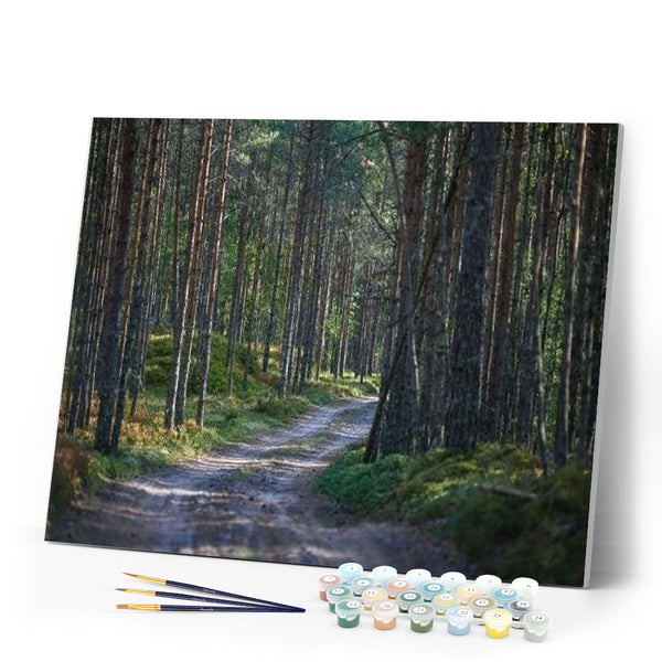 paint by numbers | Path in the Forest | advanced landscapes mountains | FiguredArt