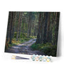 paint by numbers | Path in the Forest | advanced landscapes mountains | FiguredArt