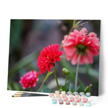 Load image into Gallery viewer, paint by numbers | Bright Red Flower | flowers intermediate | FiguredArt